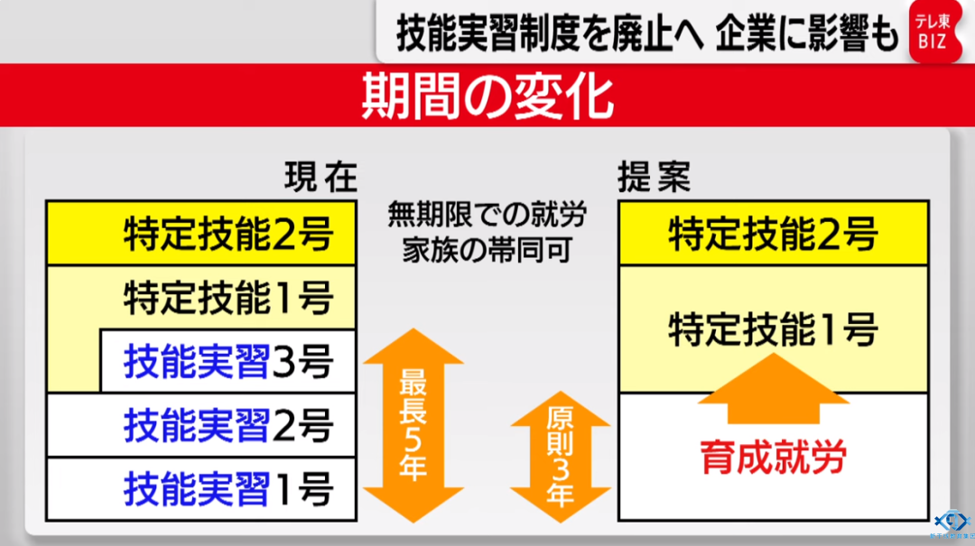 新干线教育集团