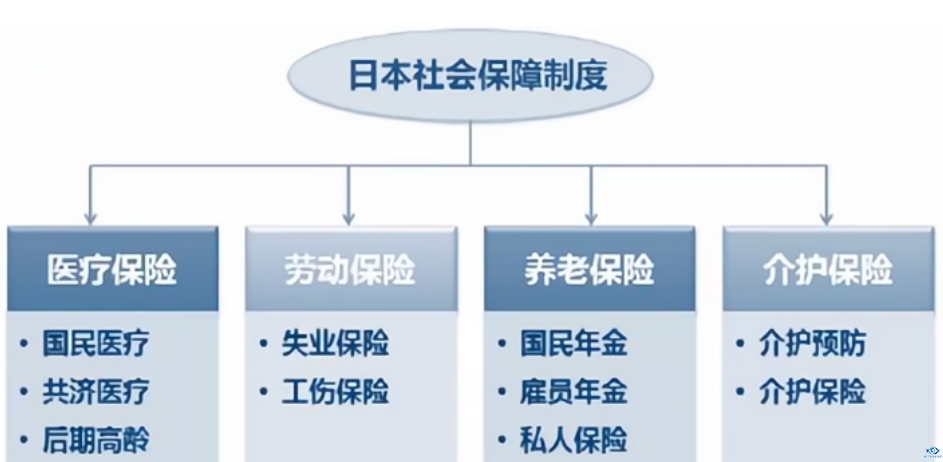 新干线教育集团